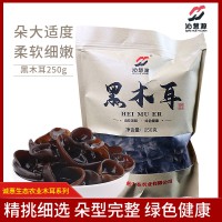 山陽(yáng)縣沁慧源黑木耳250g/袋 秦嶺黑木耳